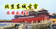 操美女18禁爆浆中国北京-东城古宫旅游风景区